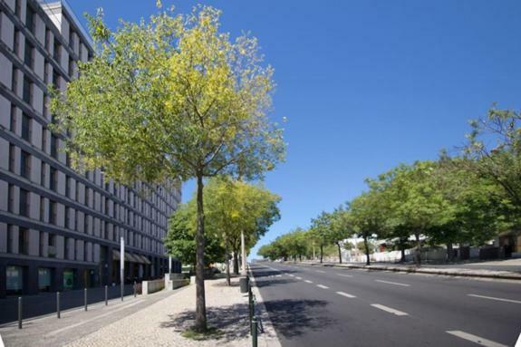 Appartement In Entrecampos